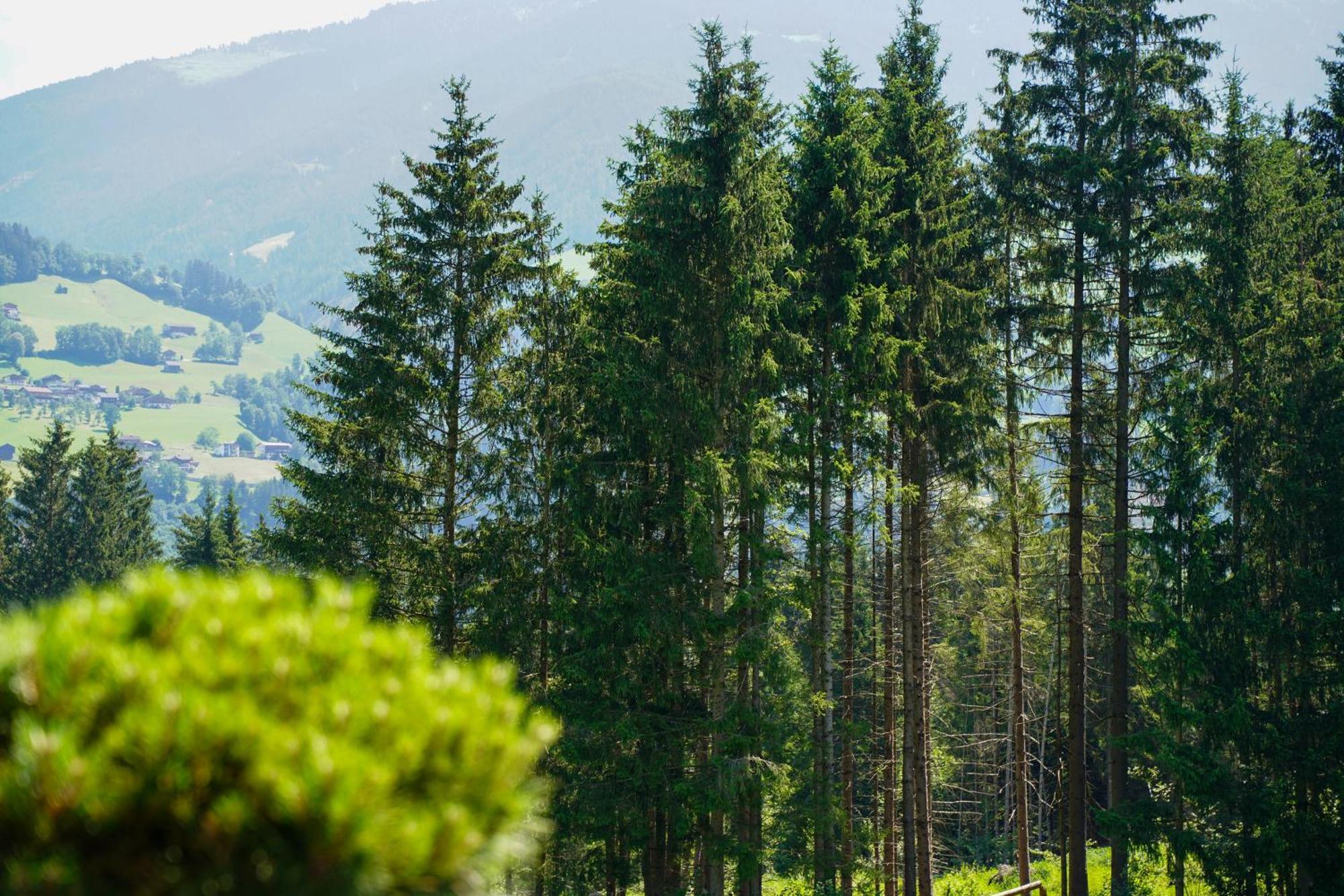 Chalet Wildruh Ried im Zillertal Buitenkant foto